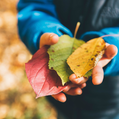 Kleinkind mit bunten Herbstblättern in den Händen