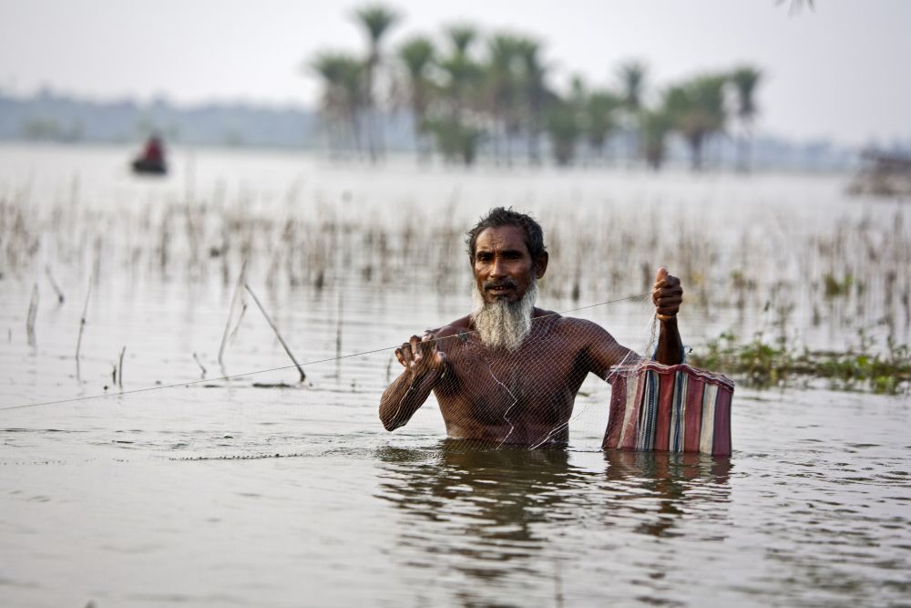 Ein Mann aus Bangladesh mit weißem Bart watet durch Brusthoch überschwemmte Felder
